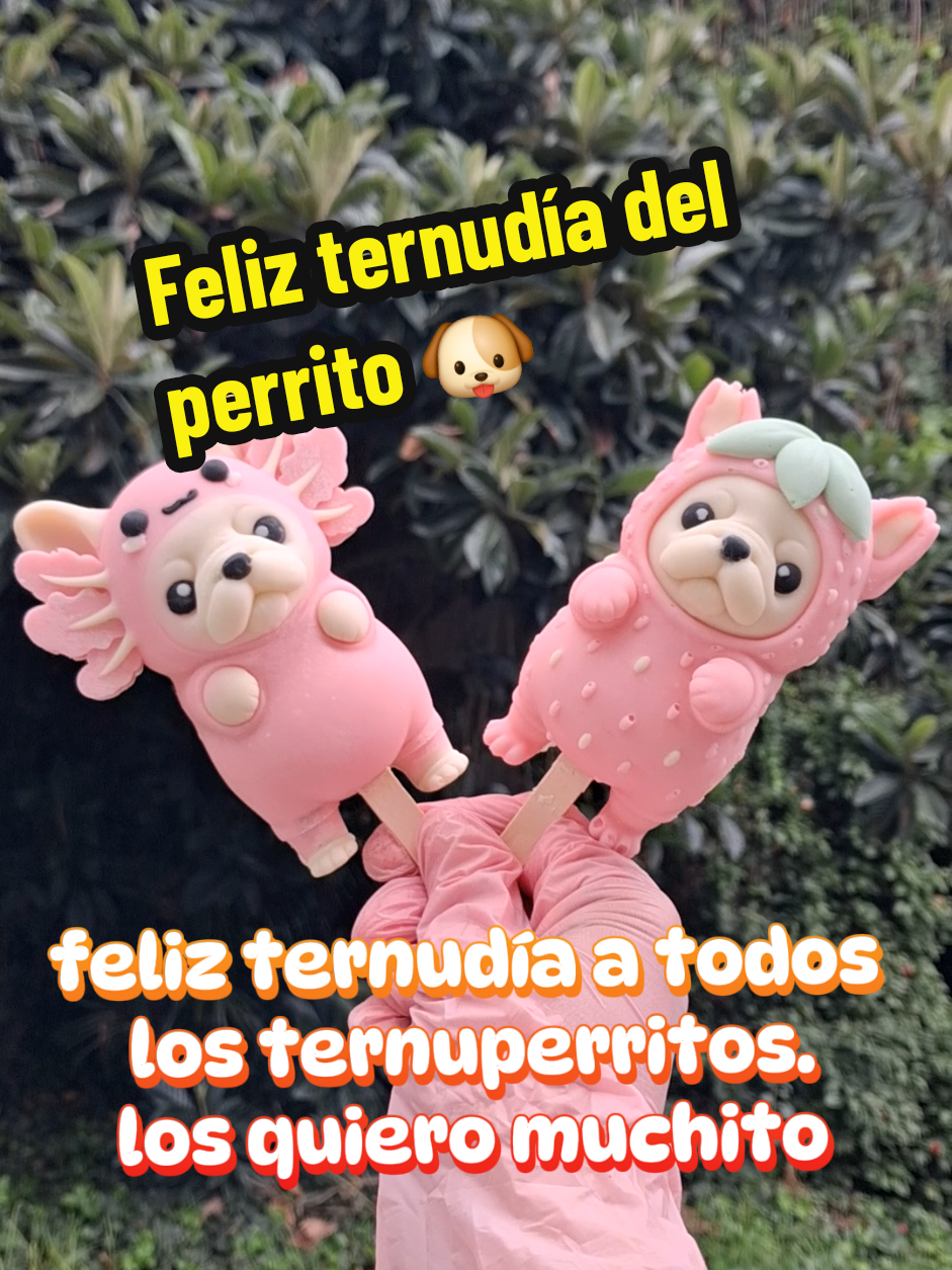 @TernuFood y Teenis Market