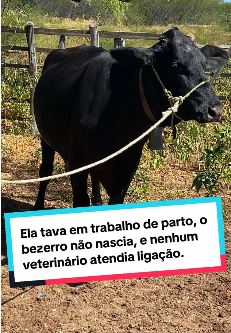 @Fernando Luiz