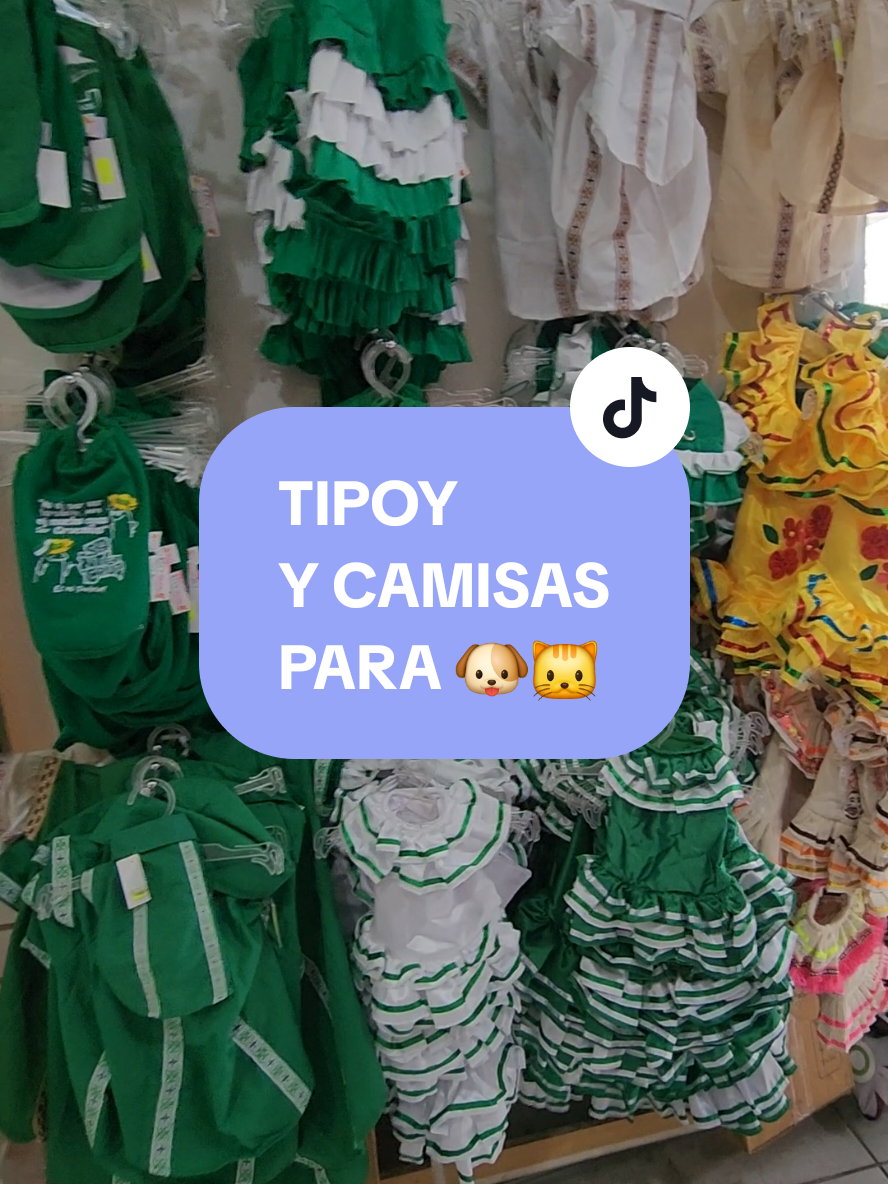 @FityGuau Moda canina y Felina