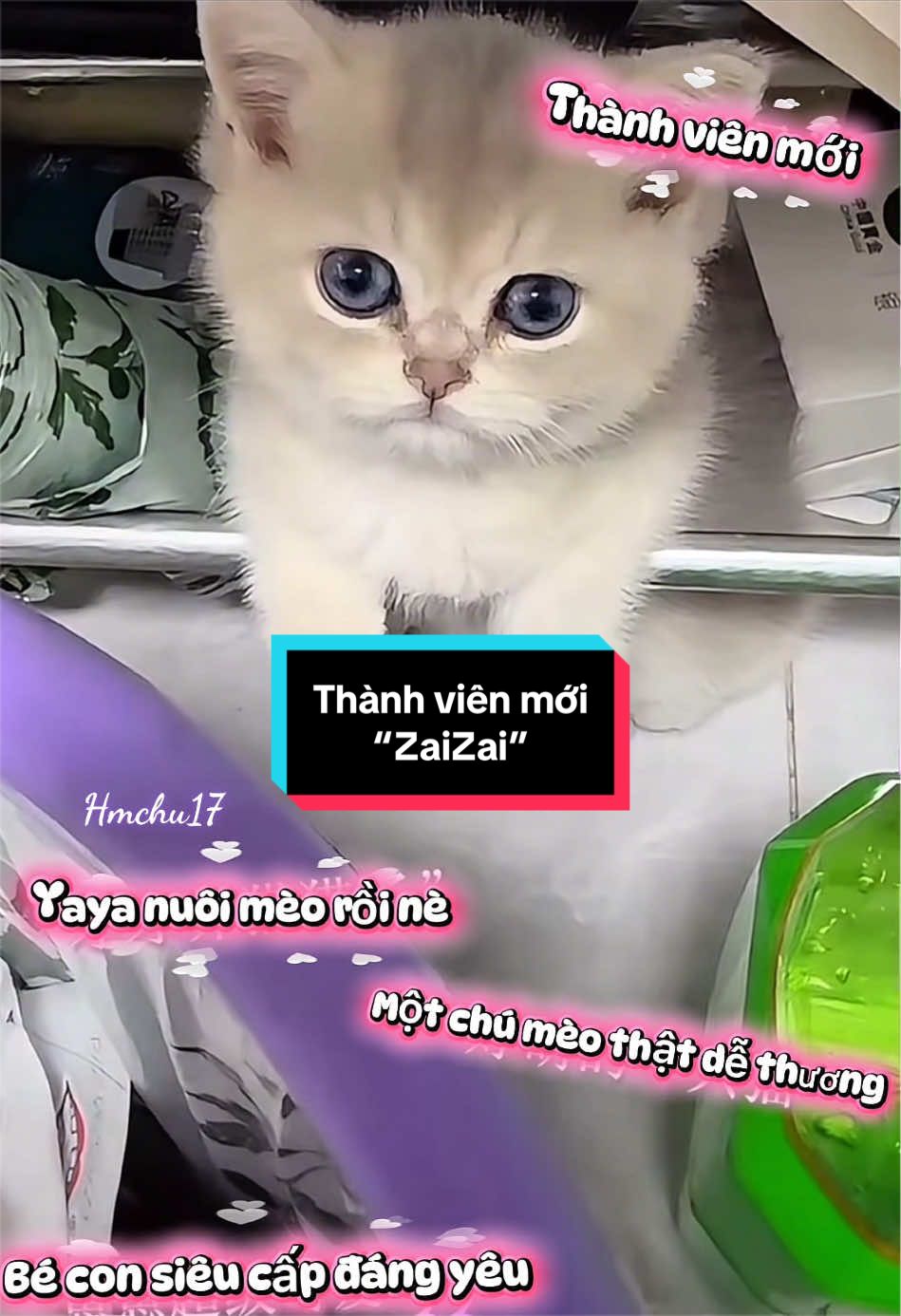 @小豆腐 •牙🦷²⁴ᴷ