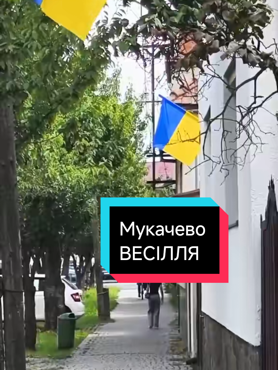 @Marinov_off