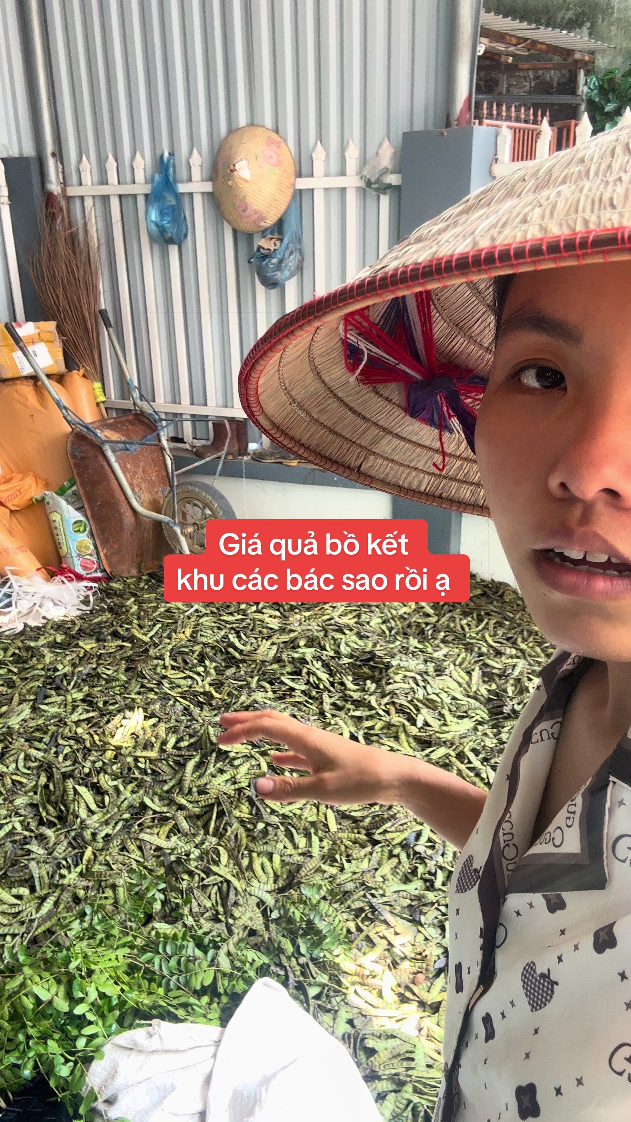 @Nhà Vườn Vũ Mai