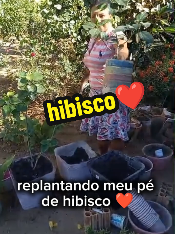 @Maisa Silva ❤️