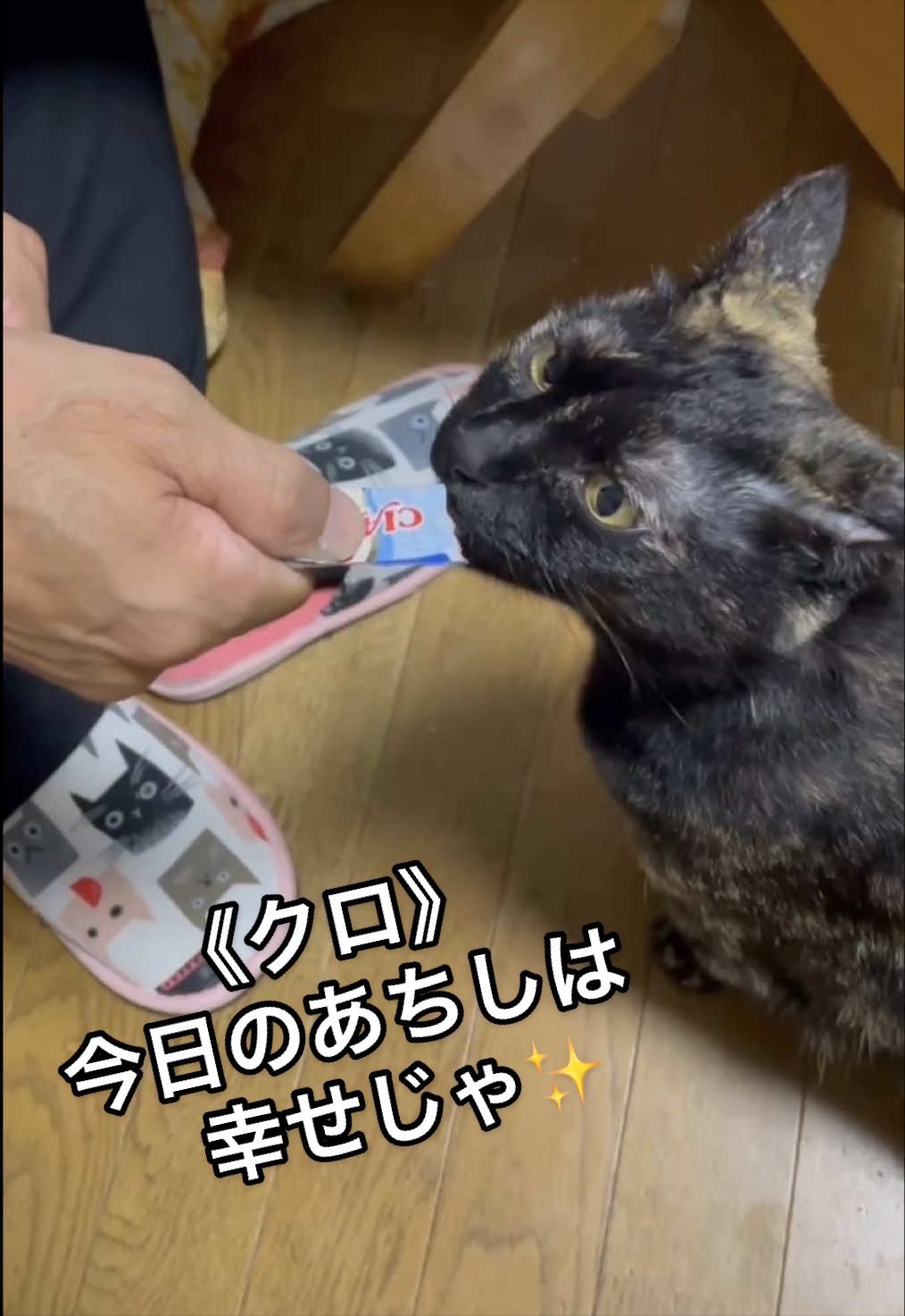 @聴々物語PROJECT