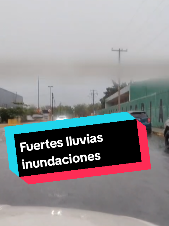 @Camino Hacia la Verdad