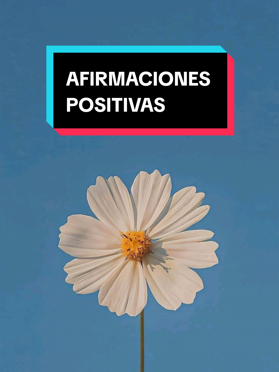 @Lulita_manifestacion🪐✅️