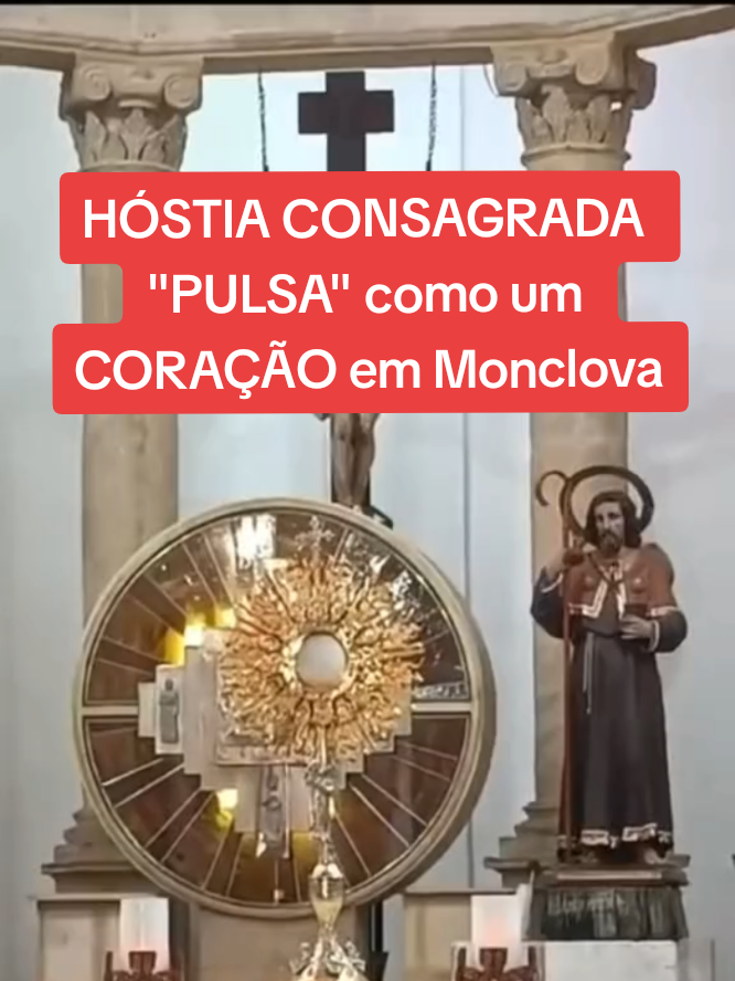 @ApariçõesFotosMilagrosasBrasil