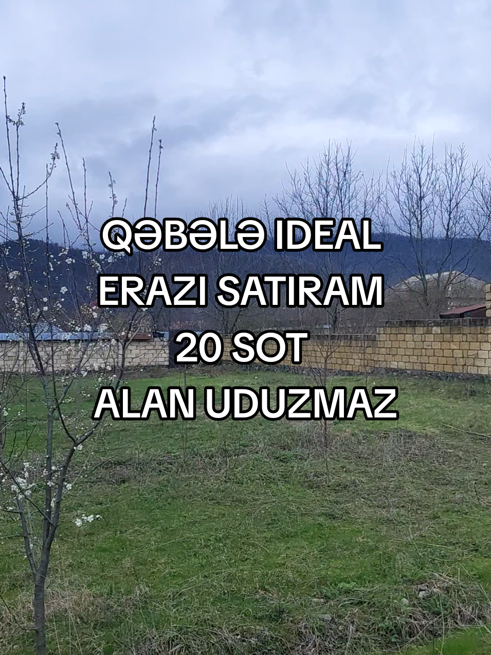 @Qəbələ Əmlak Ruzi