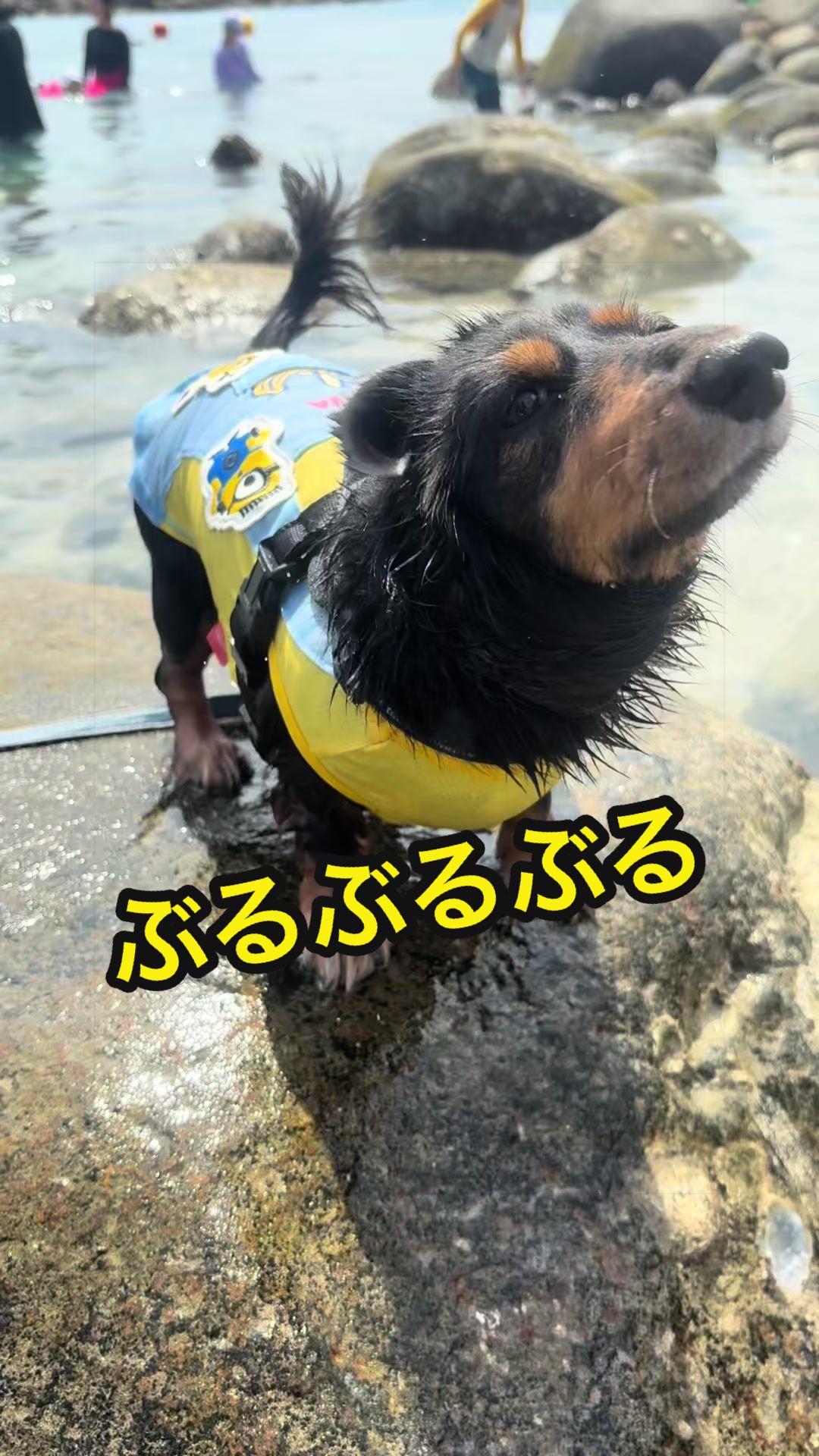 @あすかっきーん🧢💙🐾