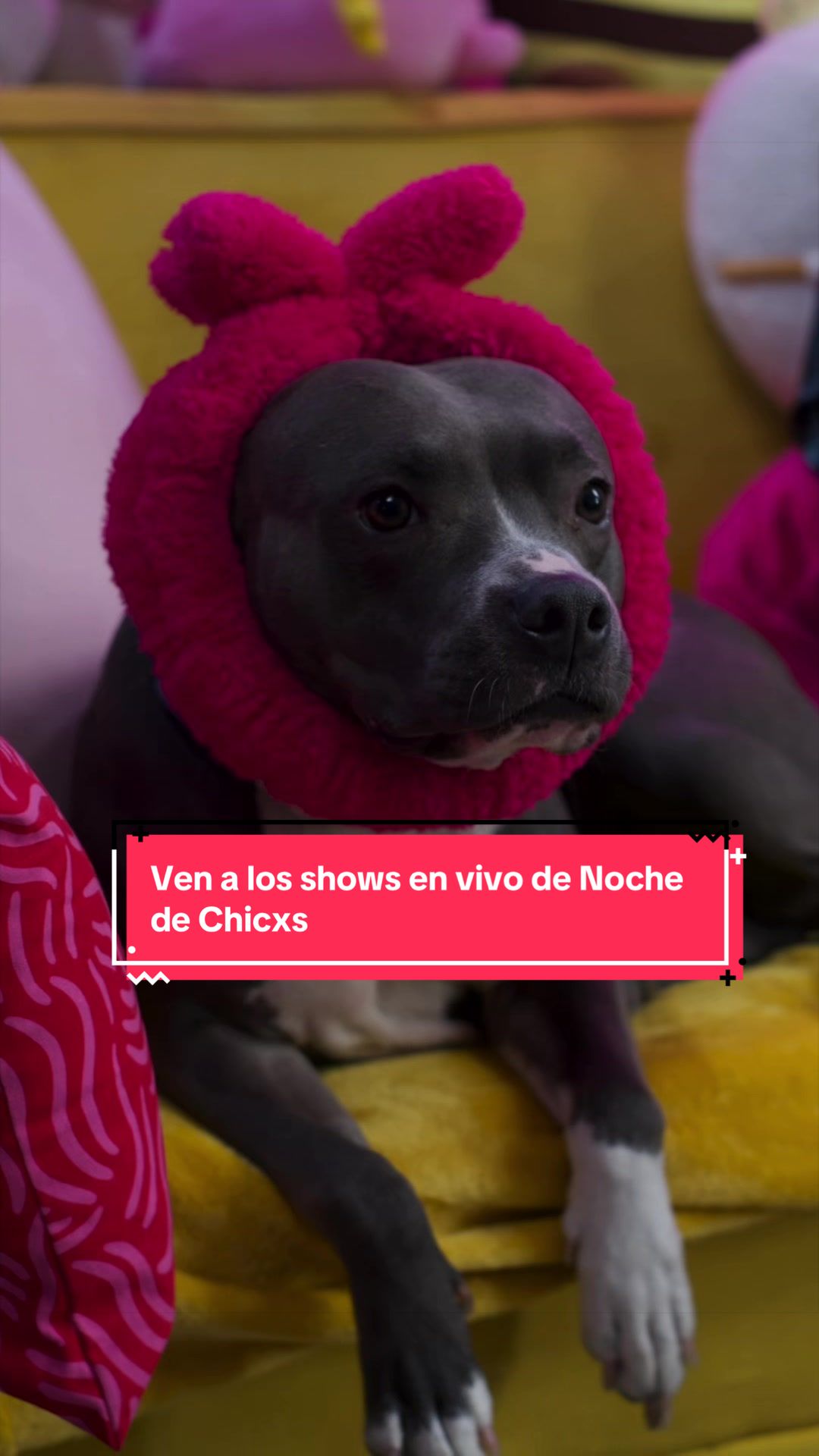 @💅🏼Noche de Chicxs🍿 podcast