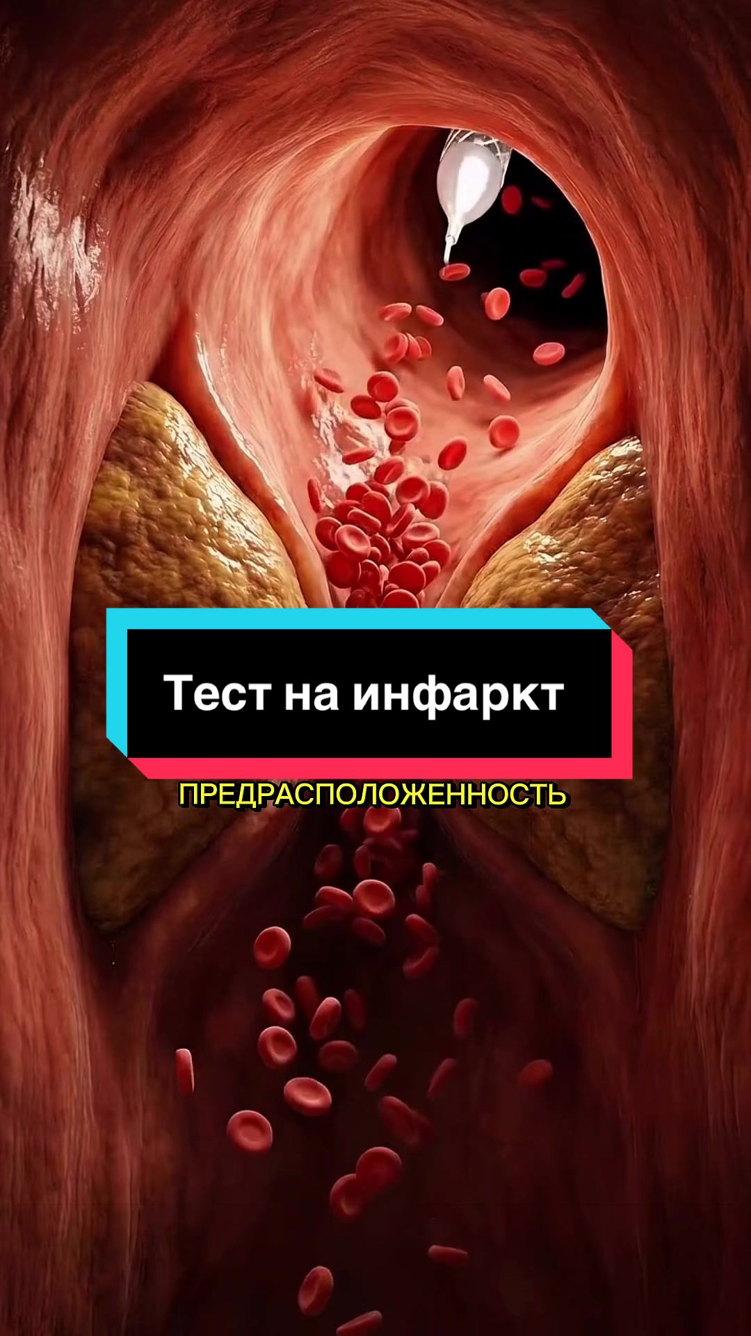 @САМЫЙ ПОЗИТИВНЫЙ ДОК😉😷😁