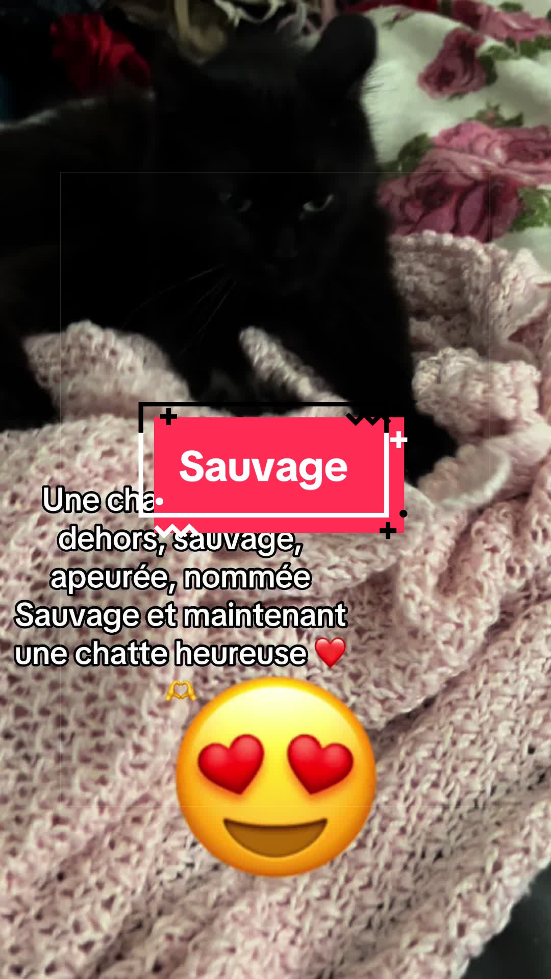 @patriciasurtiktok