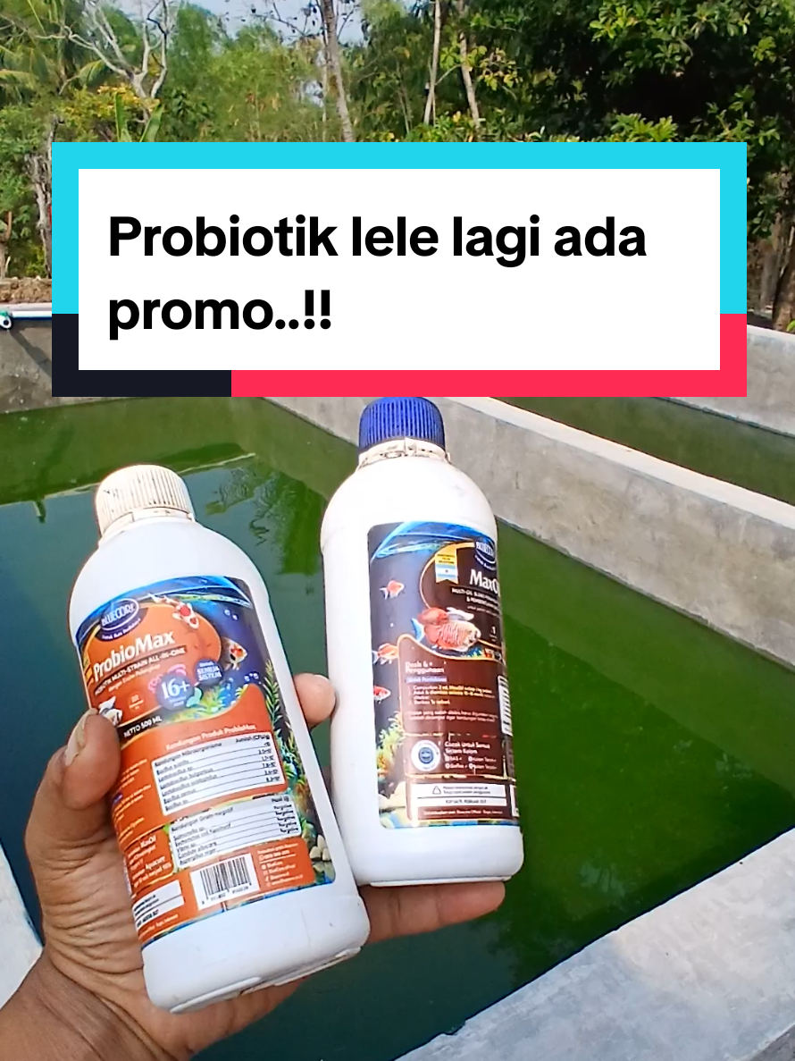 @Kang_Ewi