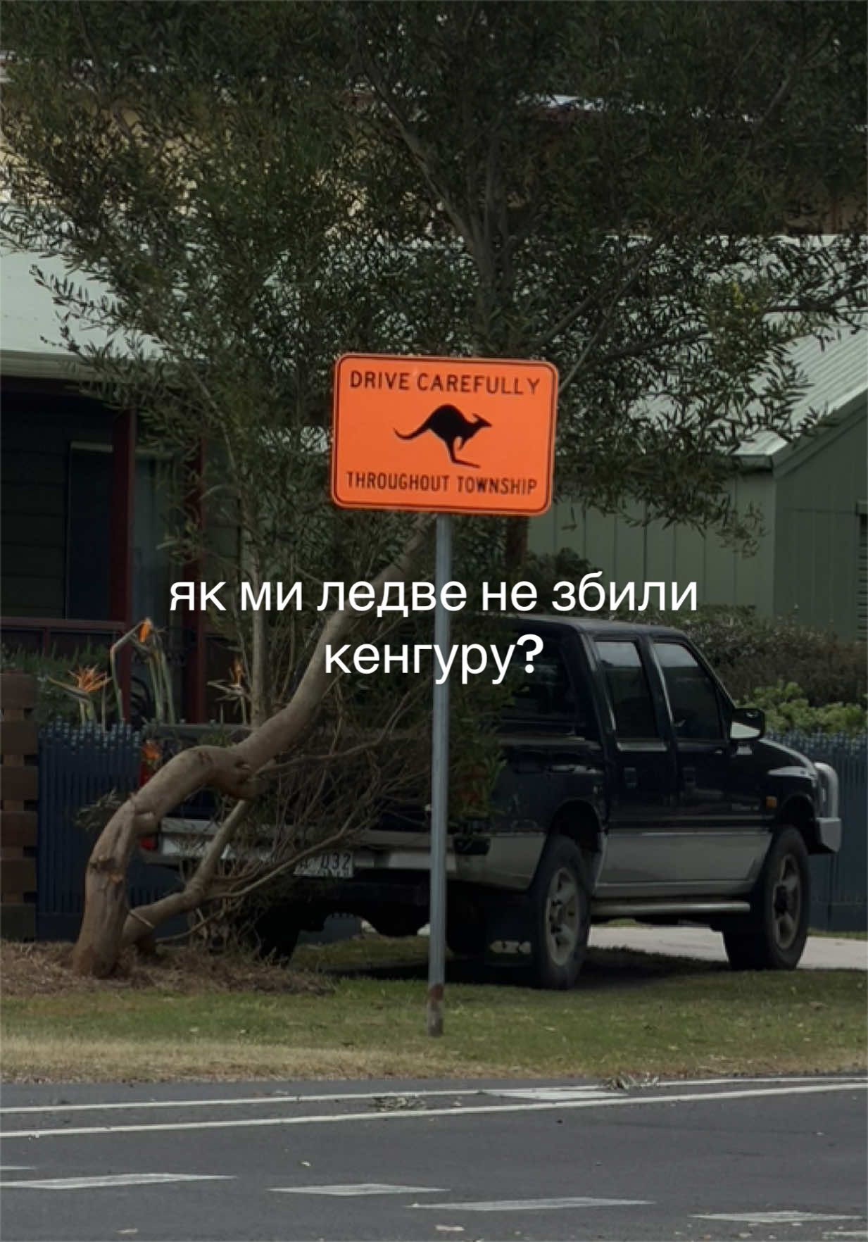 @Віолетта