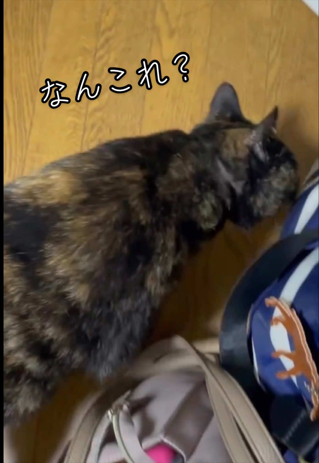 @聴々物語PROJECT