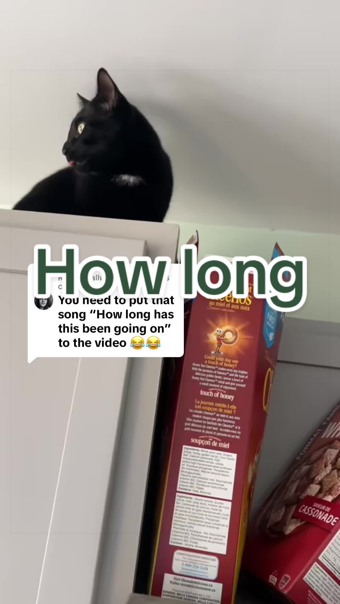 @Reznor_the_cat🪽