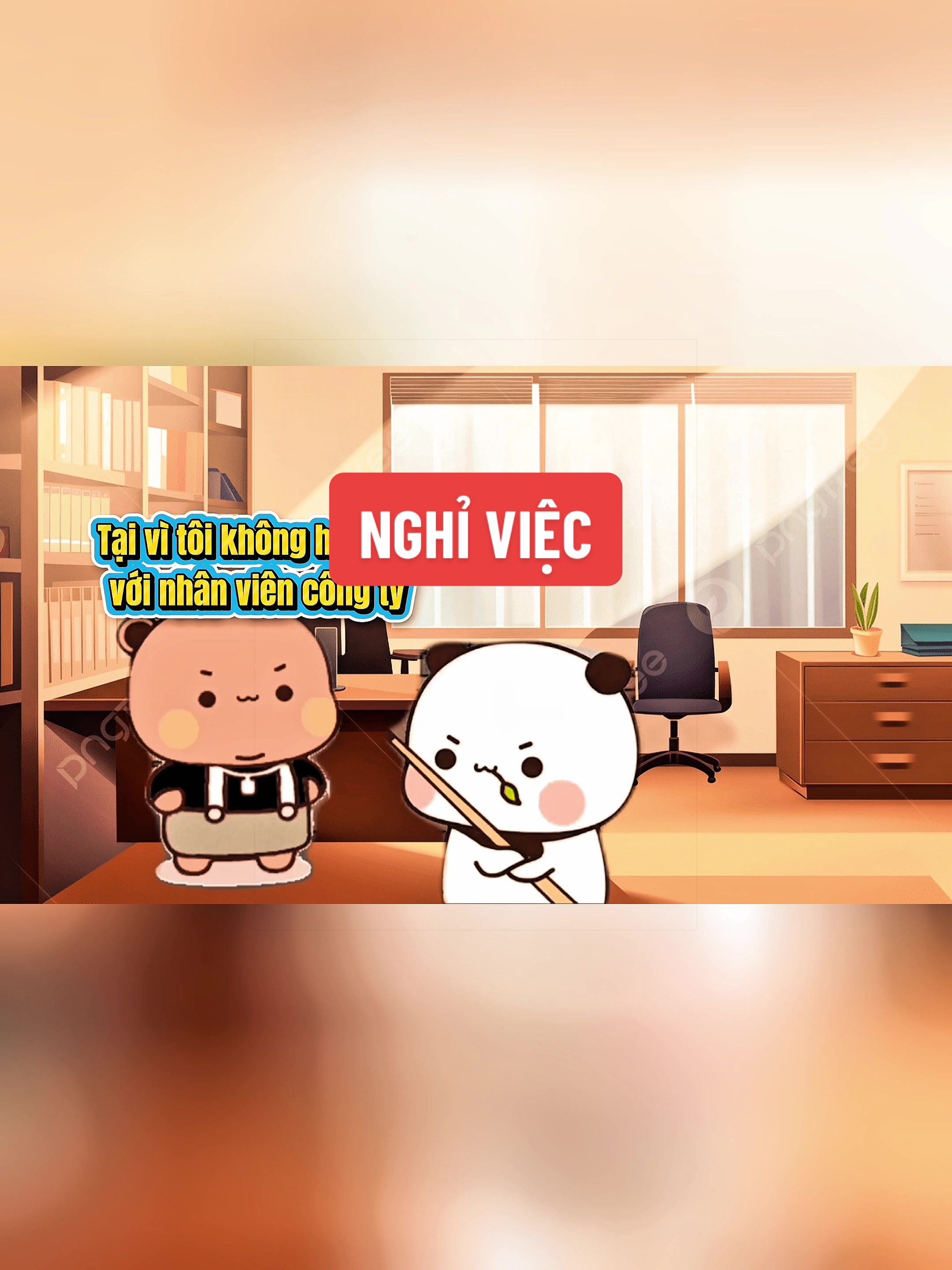@bubu.dudu.collect