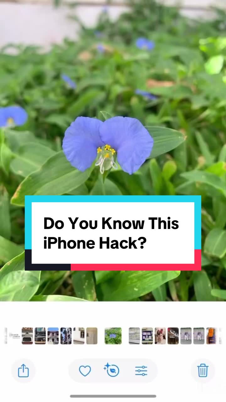 @younewsletter