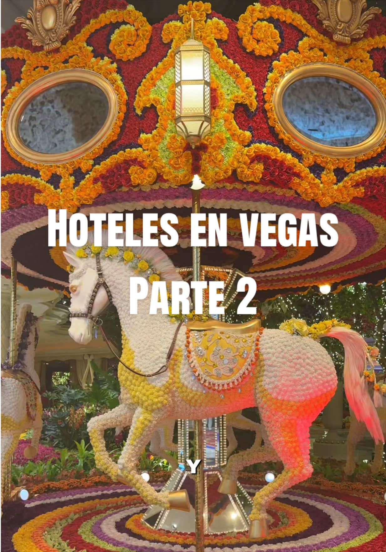 @Criss Ponce/ Travel-F1- Disney