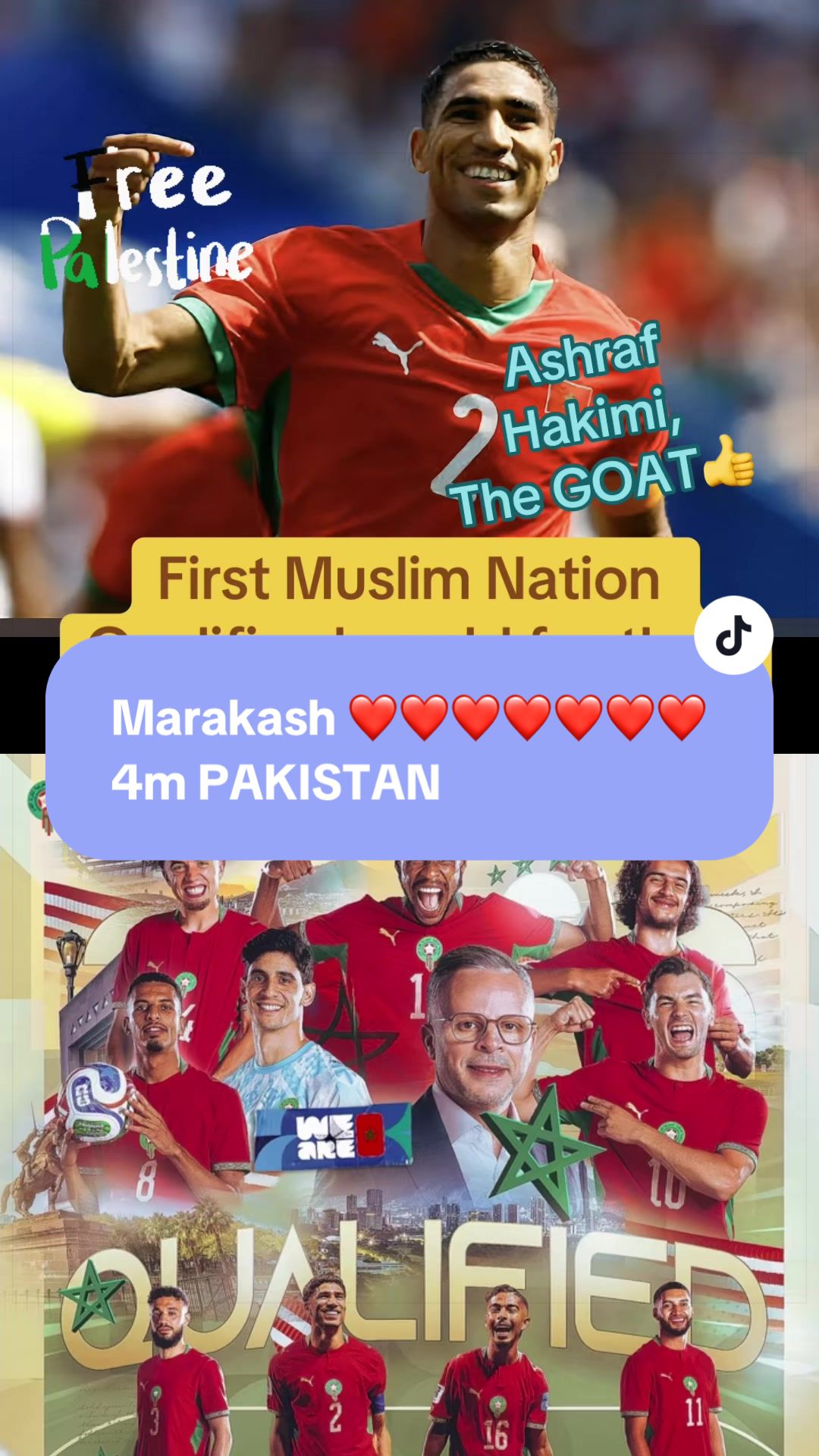 @CM- Bai 🇳🇿🇵🇰