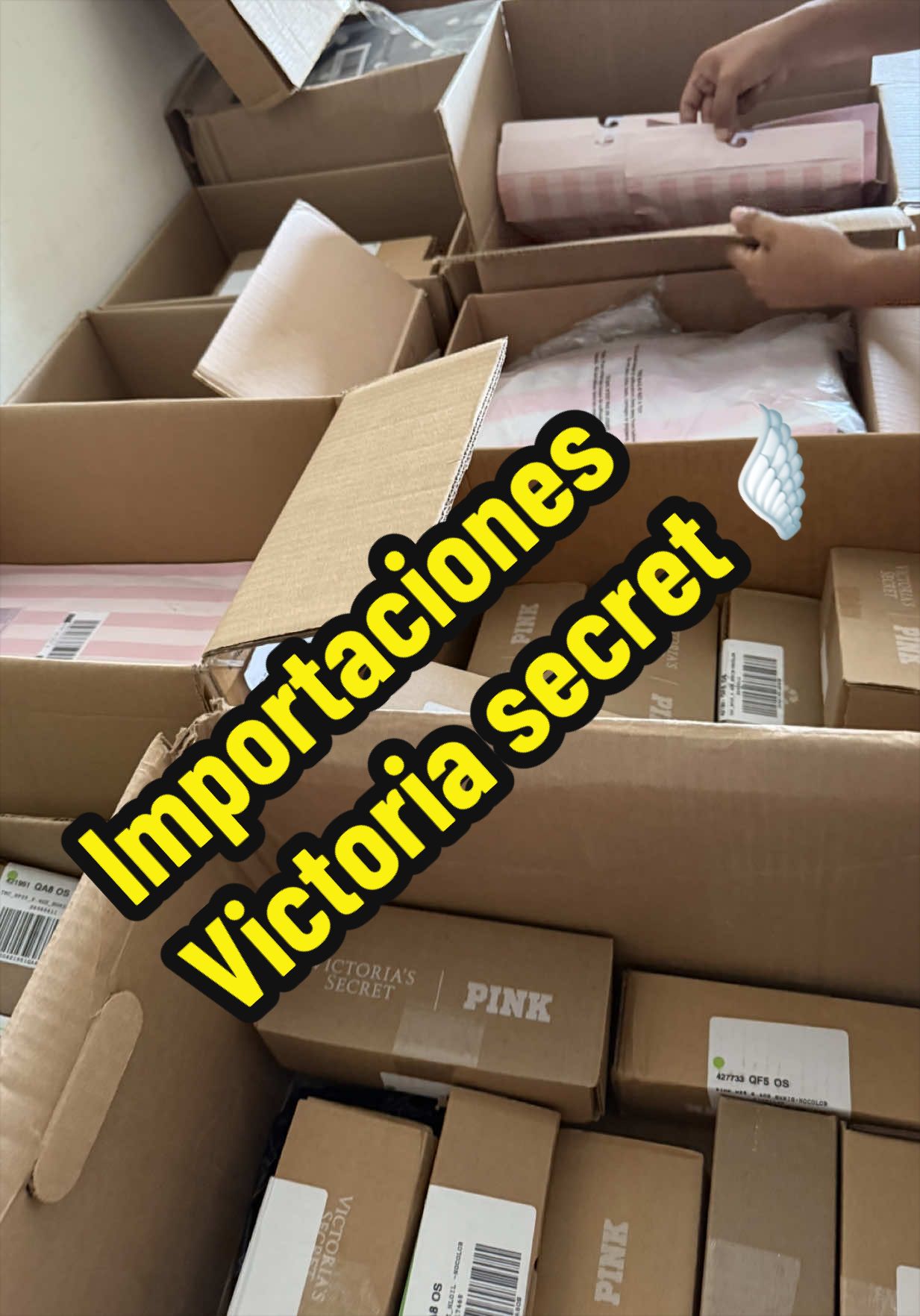 @VivianaUrus