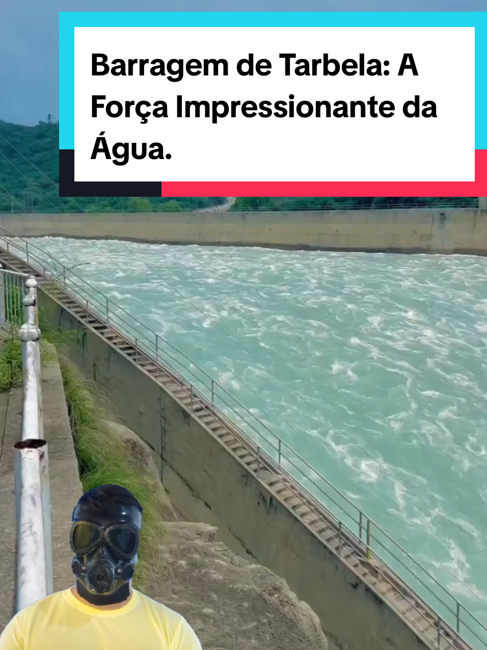 @Mundo da Curiosidades