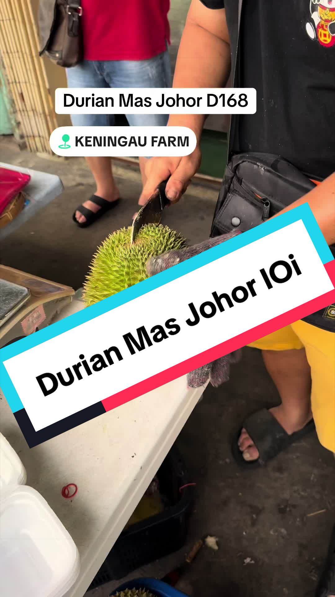 @Keningau Farm