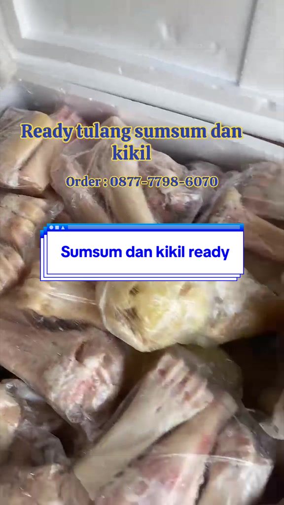 @Rumah Aneka Frozen