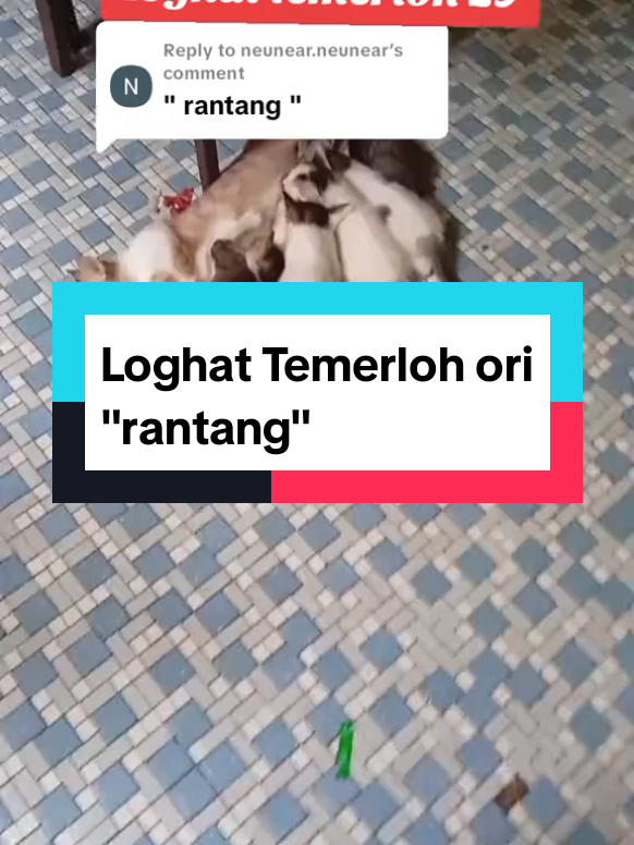 @PUTERA SEMANTAN