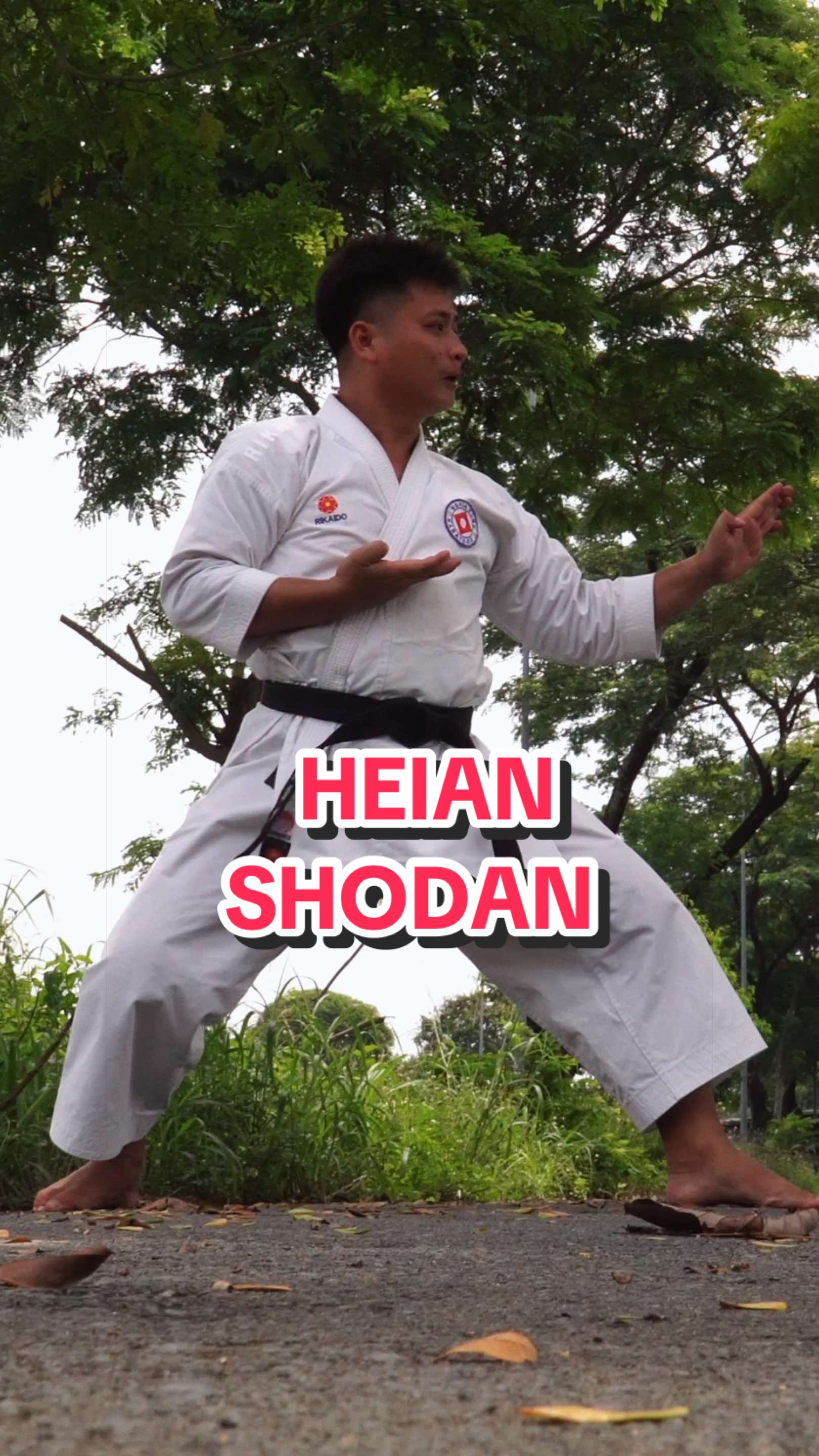 @Quang Hải NDK
