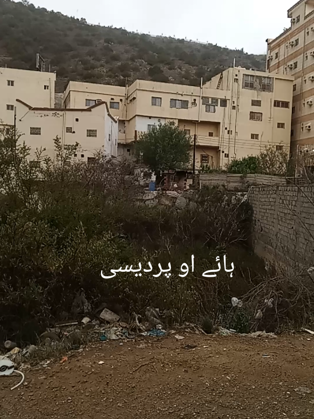@Amir ali