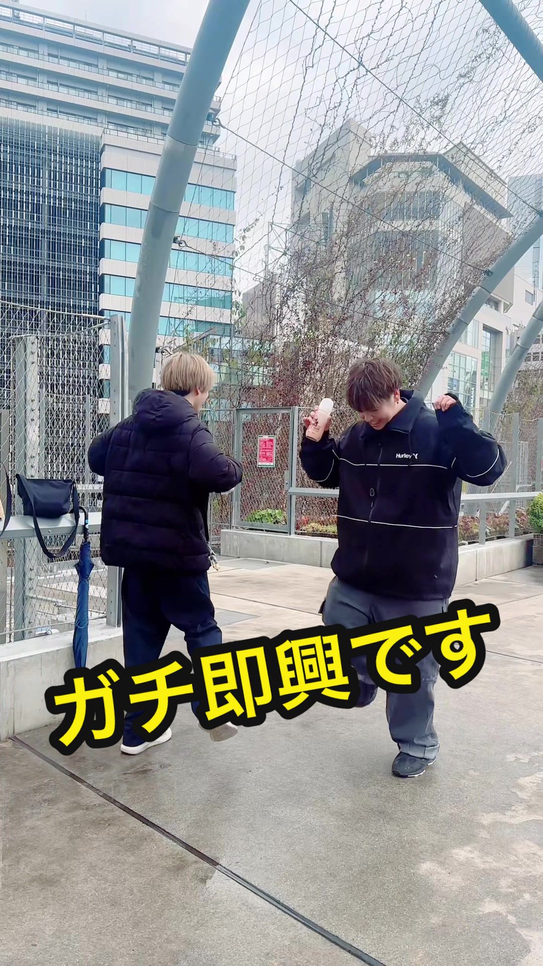 @HAJIME🐿️🦅