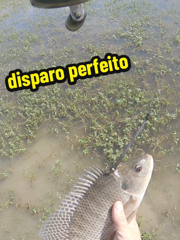 @SAMU