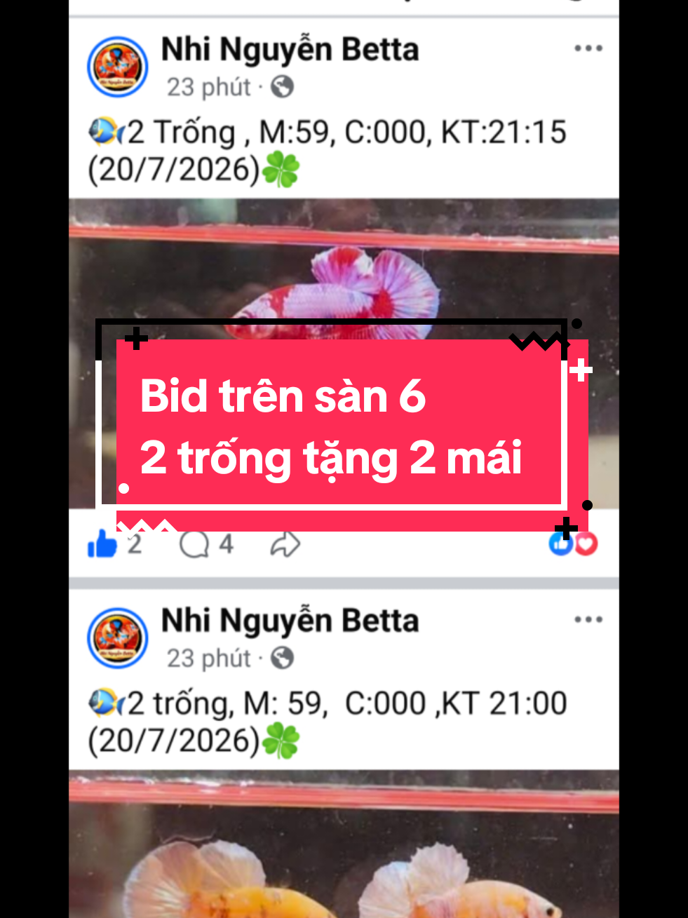 @Nhi Nguyễn Betta