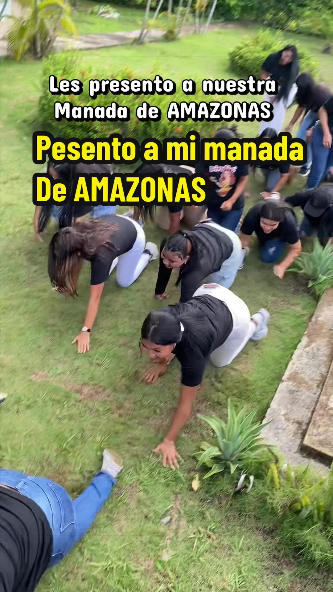 @mahevaarmas