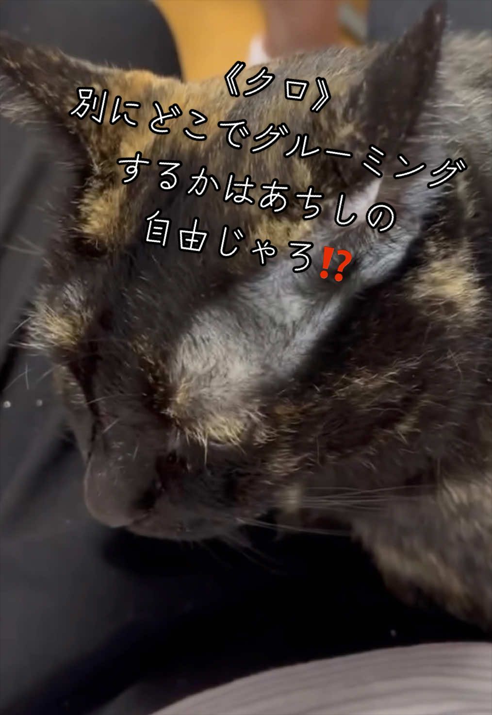 @聴々物語PROJECT