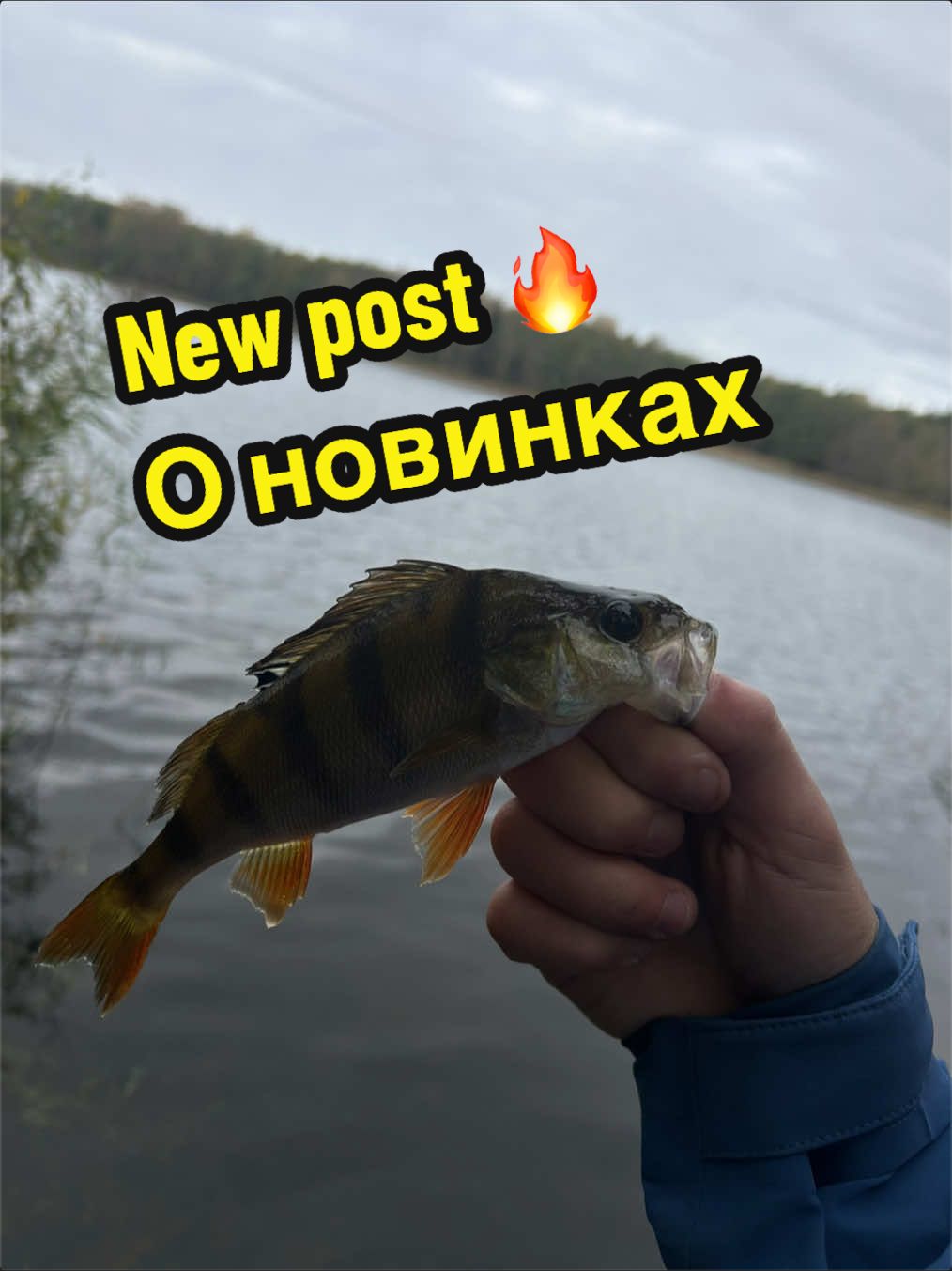 @rybalkashop
