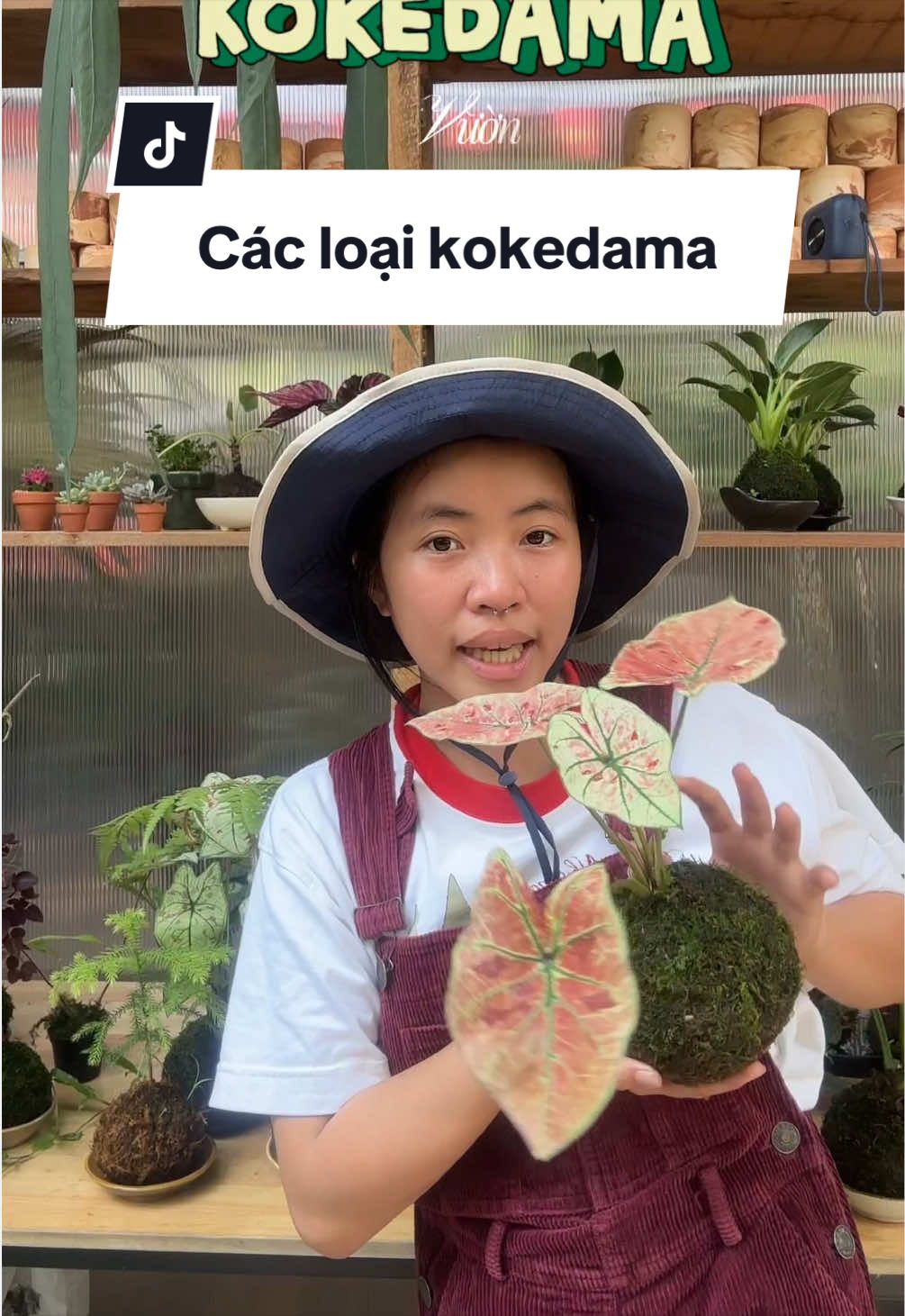 @Vuoncuakien
