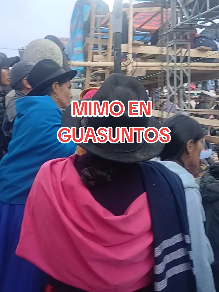 @Luis Escala