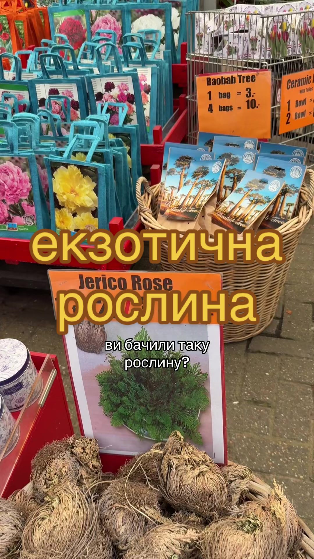 @🧚леся🧚