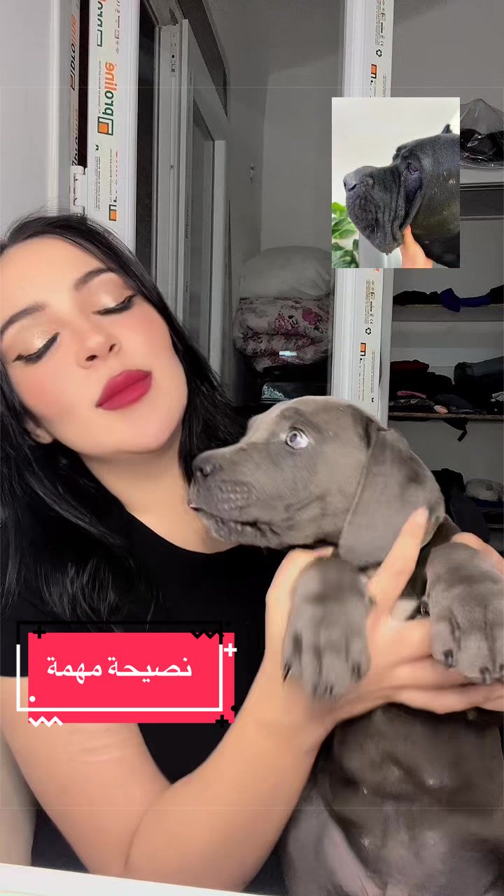 @الخلوية 🚩🥱🇩🇿