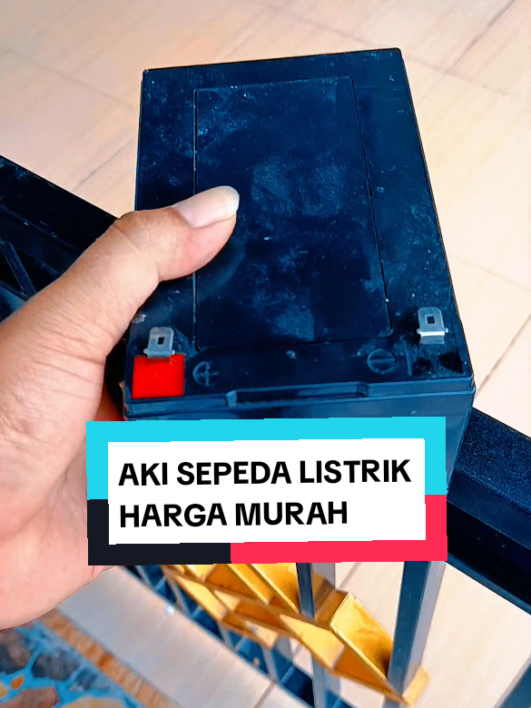 @yunfa lovers