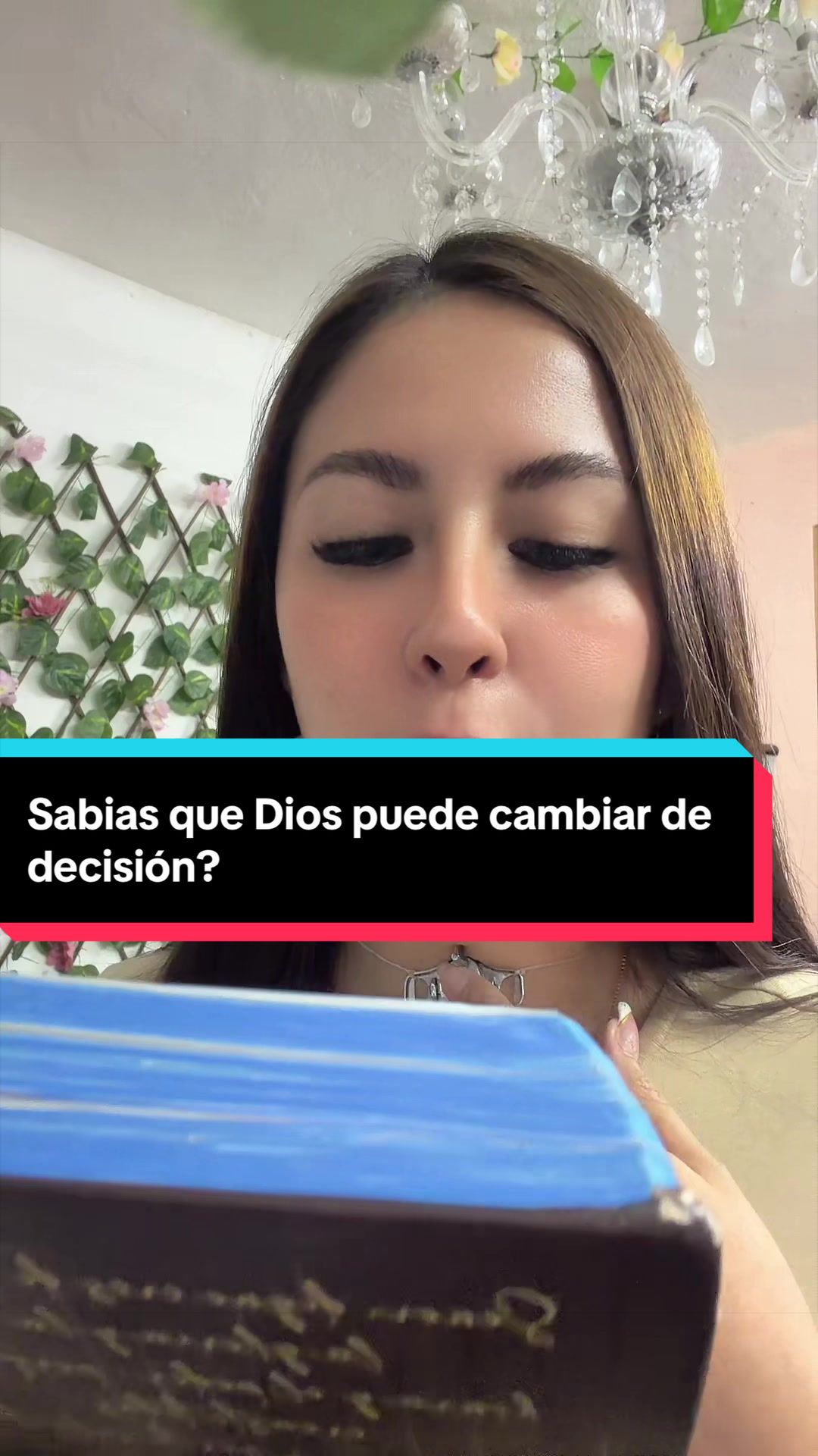 @Sthevanies Barrera C