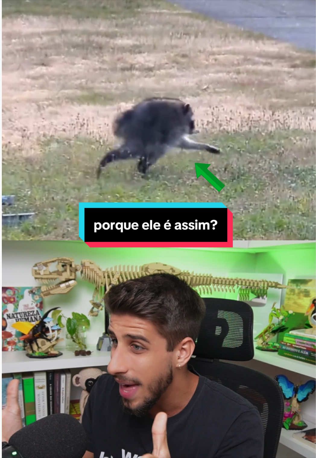 @Yago Stephano