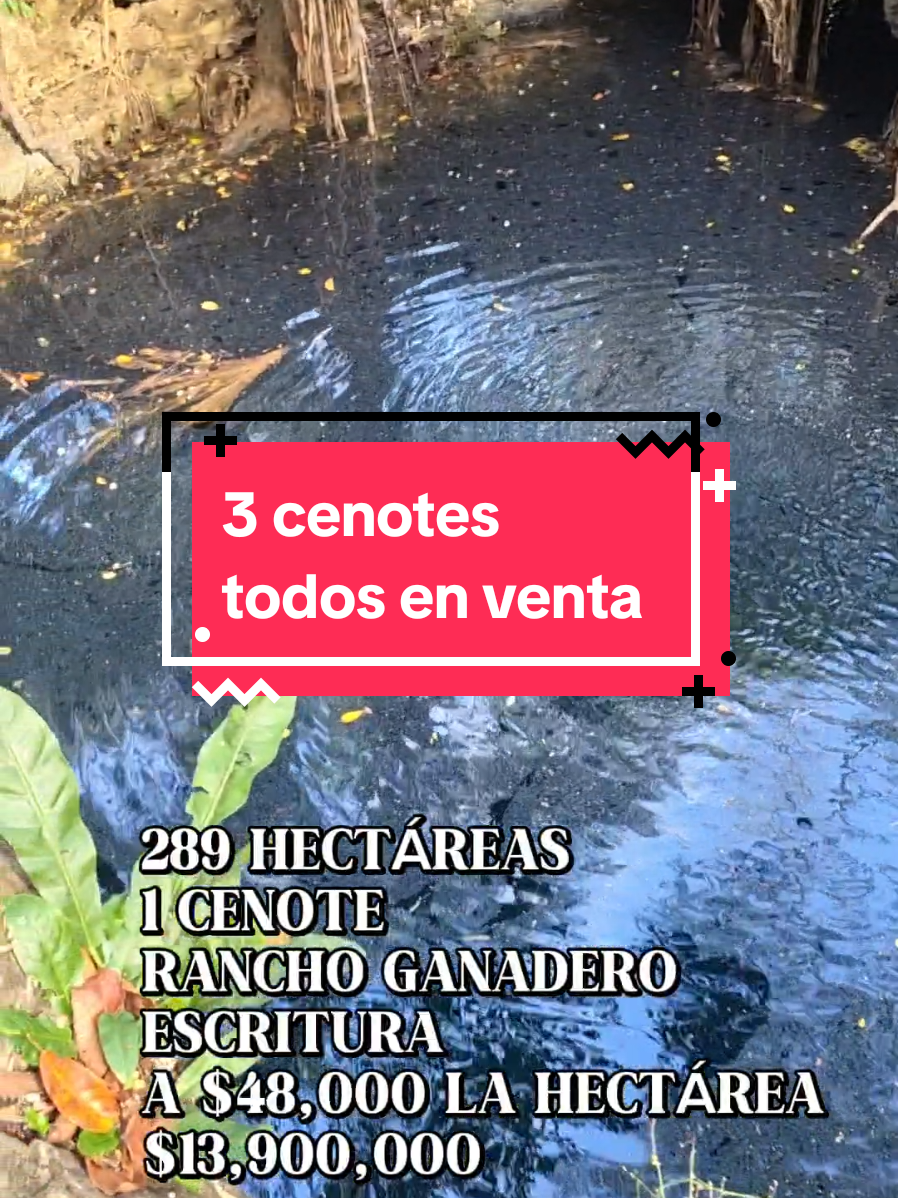 @Jose Chein - Bienes Raices