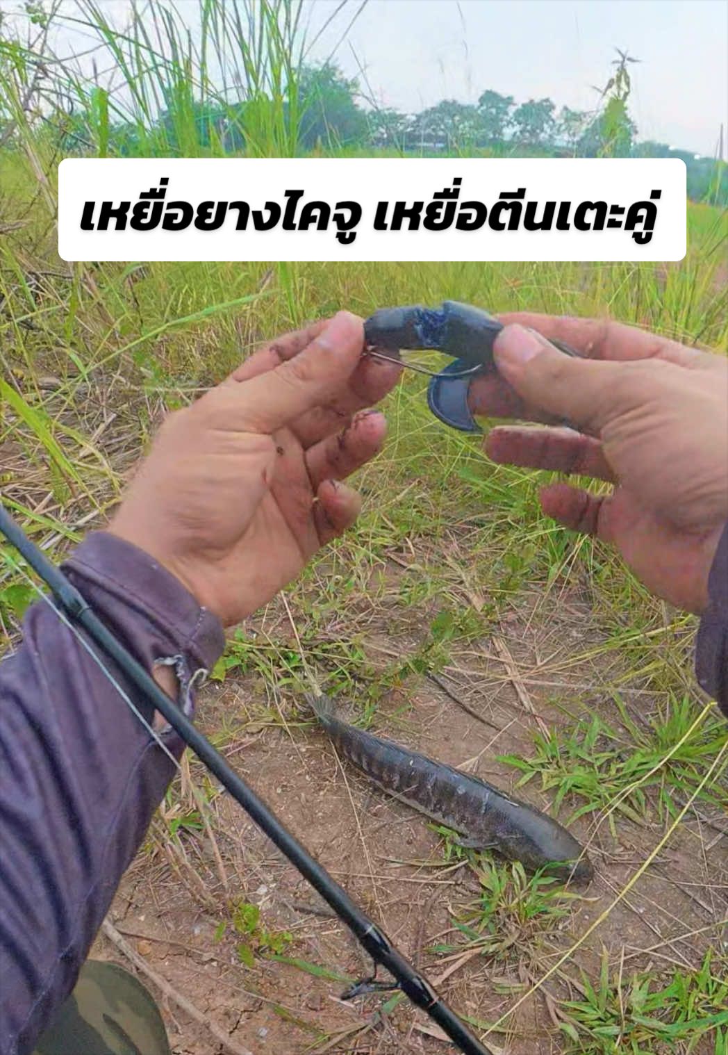 @น้ากอล์ฟ fishing ชอบแต่งรถ