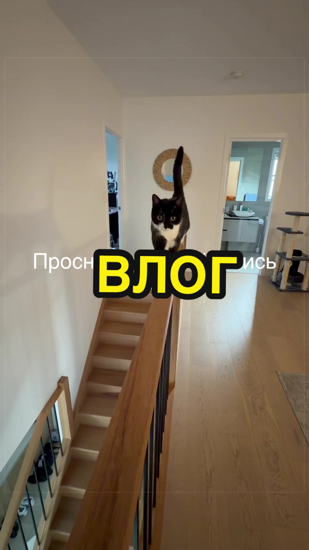 @💥КАТЯ ПАЙС💥