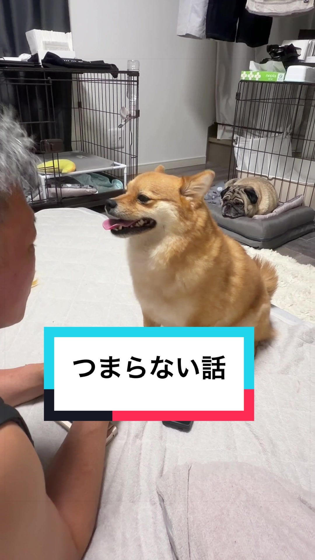 @🐶とん&ぺっぺこぺー🦊