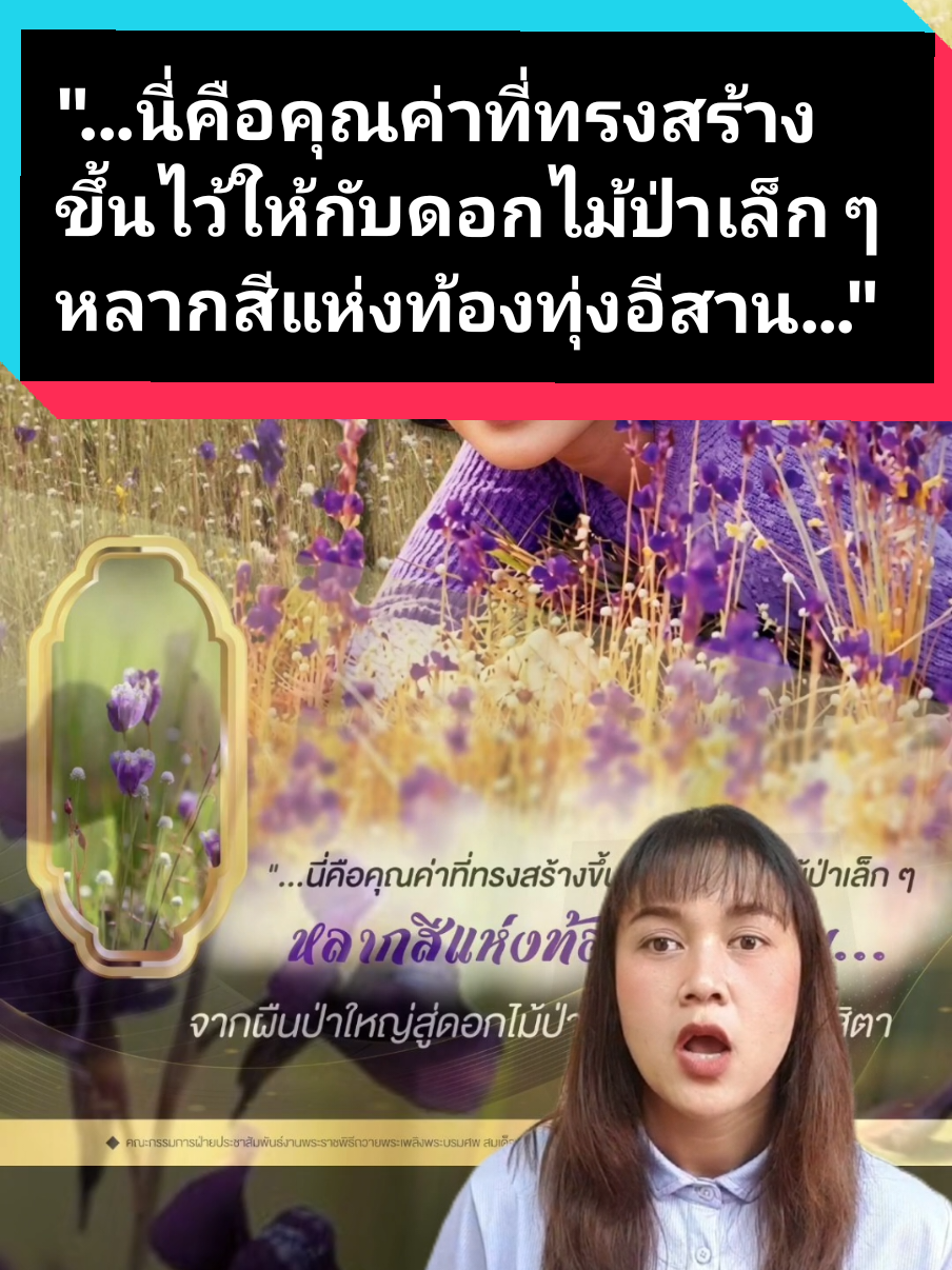 @คนเป่าข่าว📣