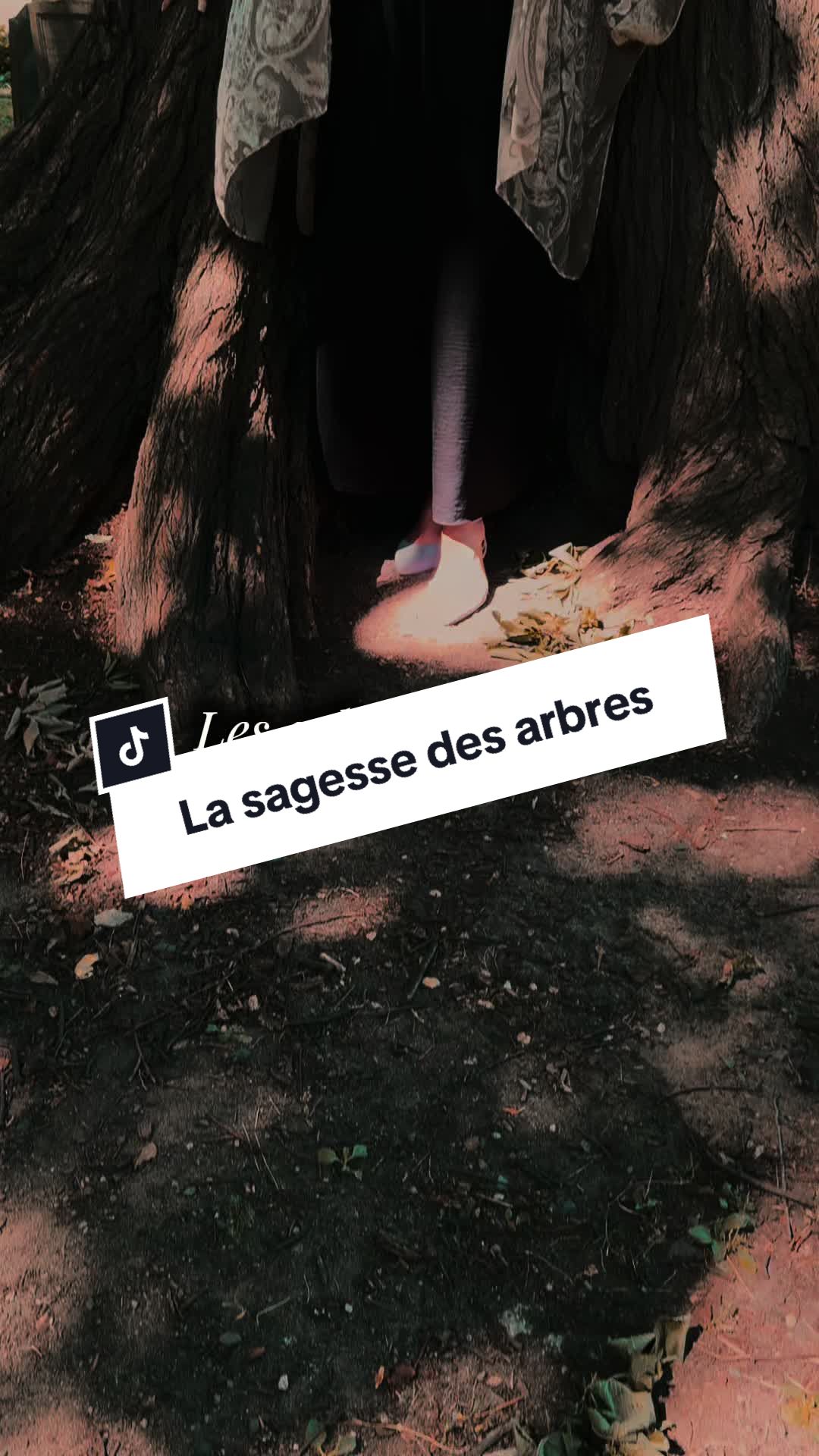 @Annie Moon sorci&egrave;re guidante